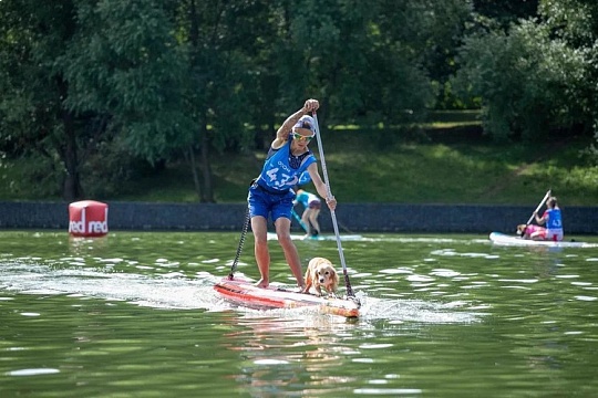 На сапах с собакой! Сколько стоит собрать сап-комплект с нуля или лучше взять его на прокат