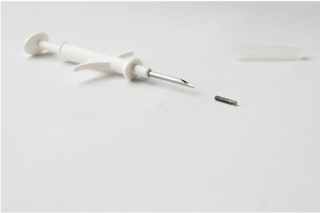 Как регионы готовятся к обязательной регистрации питомцев 