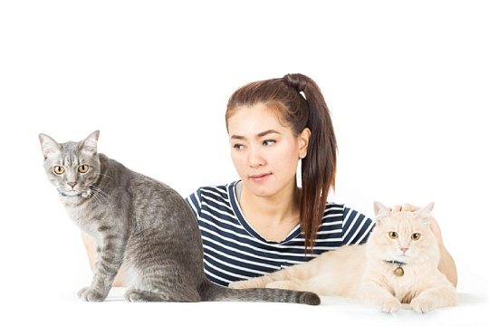 Как назвать кошку или кота Как назвать кошку или кота