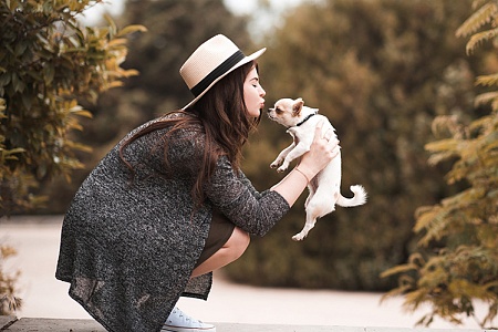 Самые маленькие собаки для квартиры