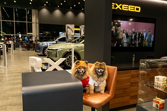 С питомцем в любой салон: EXEED запускает федеральную pet-friendly программу