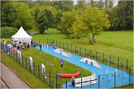 Проект «Питомцы в Москве»: в столице откроют более 50 собачьих площадок 