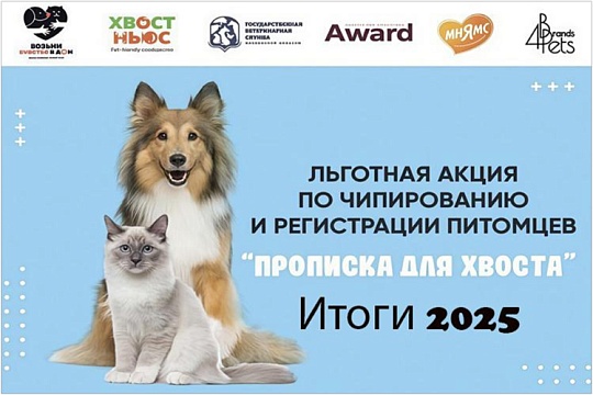 Выездная регистрация в Подмосковье: итоги полугодовой акции фонда «Возьми счастье в дом»