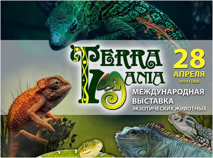 ТерраМания