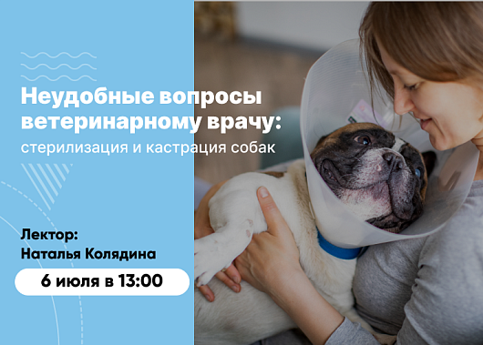 Вебинар «Неудобные вопросы ветеринарному врачу: стерилизация и кастрация собак»
