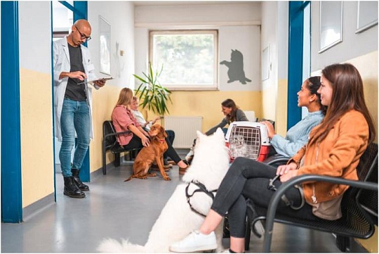 В Подмосковье больше не будет очередей в ветклиниках В Подмосковье больше не будет очередей в ветклиниках