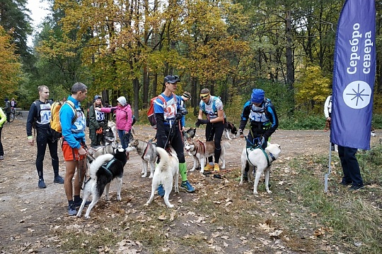 Покорить природу вместе с собакой: дог-треккинг, трейл, медали и подарки