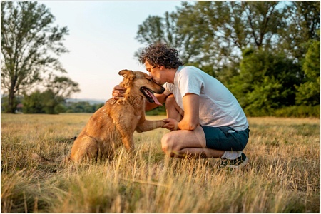 Депутаты Госдумы выступили за гуманную дрессировку 