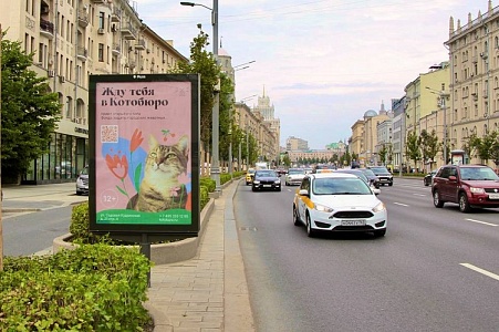 «Котобюро» в Москве: коворкинг, антикафе, лекторий и приют для кошек «Котобюро» в Москве: коворкинг, антикафе, лекторий и приют для кошек