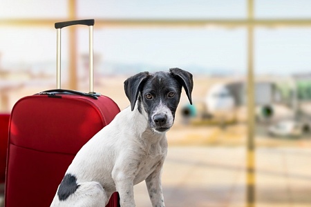 В новую жизнь, еще и бесплатно!