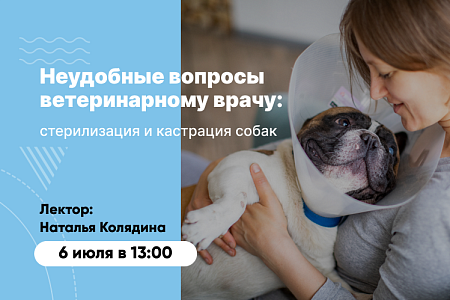 Приглашаем на вебинар «Неудобные вопросы ветеринарному врачу: стерилизация и кастрация собак»