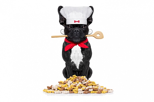 9 преимуществ беззернового корма