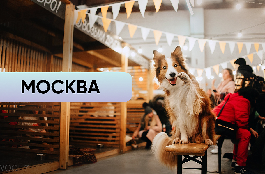 WOOF Москва WOOF Москва