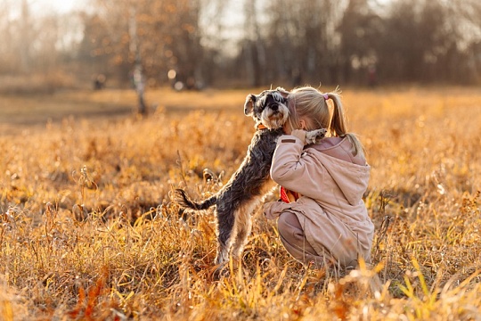 Общение с собаками повышает уровень окситоцина у детей: исследование