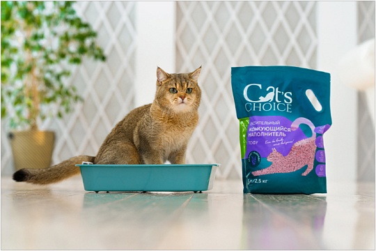 Наполнитель для лотка: больше, чем просто гигиена