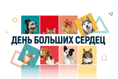 Праздник «Бетховен»: pet-friendly атмосфера, симпатичные питомцы, аквагрим и сладкая вата
