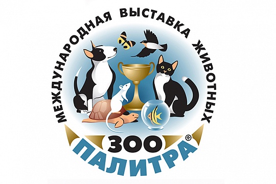 Где увидеть самых красивых песчанок и морских свинок? Где увидеть самых красивых песчанок и морских свинок?