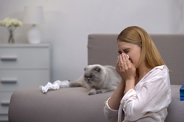 Какую кошку можно завести аллергику?