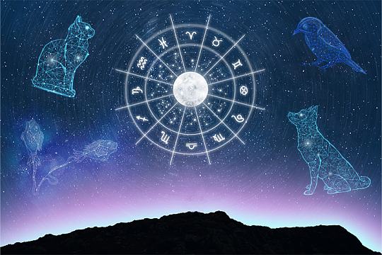 Гороскоп на 2023 год для вашей pet-семьи Гороскоп на 2023 год для вашей pet-семьи