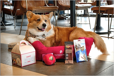 Vasilchuki Restaurant Group и «Валта Пет Продактс» запускают pet-friendly сервис в московских фудхоллах
