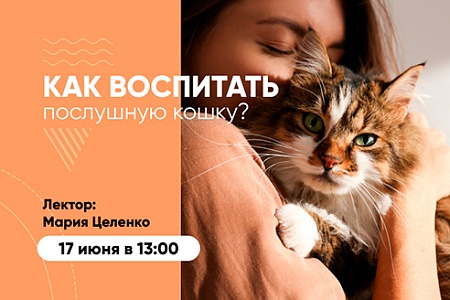 Приглашаем на вебинар «Как воспитать послушную кошку» Приглашаем на вебинар «Как воспитать послушную кошку»