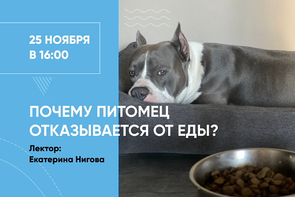 Приглашаем на вебинар «Почему питомец отказывается от еды»