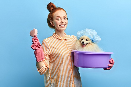 Как выбрать сухой шампунь для собак?