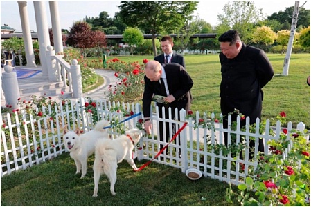 В КНДР Путину подарили собак редчайшей породы пхунсан. Что о ней известно