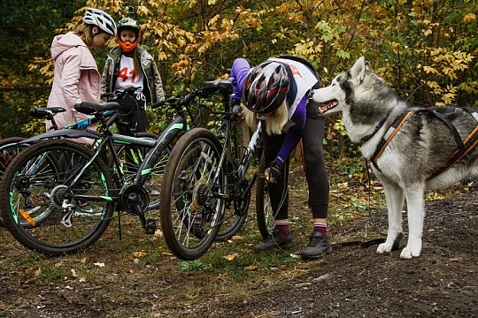 «Зов стаи» собирает самых активных владельцев собак