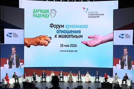 Форум гуманного отношения к животным-2026: закон, ответственность, просвещение