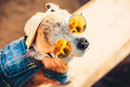 Как не испачкаться на прогулке?