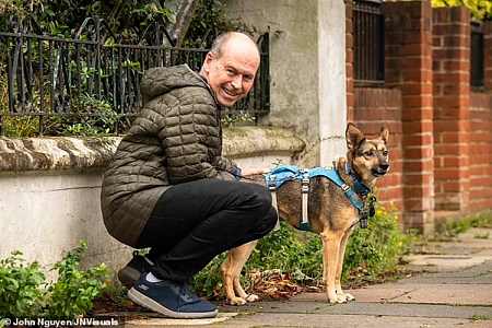 Собака по кличке Софи помогает известному журналисту бороться с болезнью