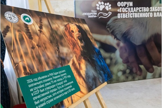 Прошел Всероссийский форум «Государство заботы: культура ответственного владения животными»