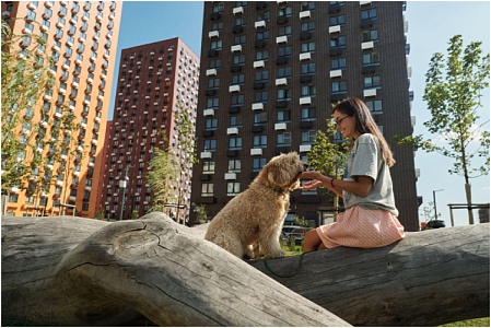 Как управляющая компания ПИК-Комфорт развивает pet-friendly культуру