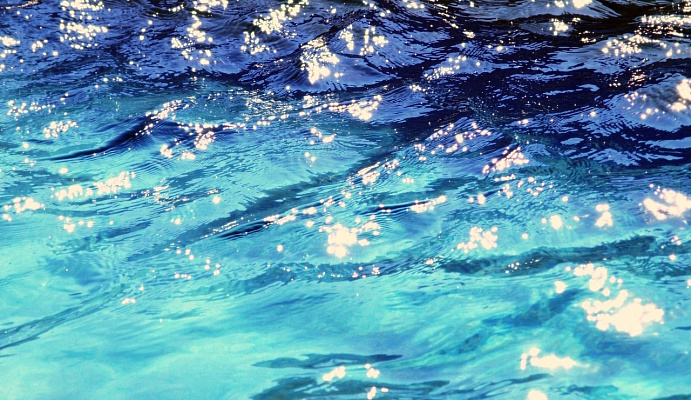 8 причин, почему в аквариуме мутная вода