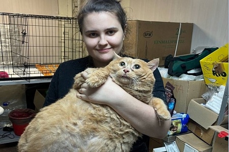 Кот Крошик из Перми попытался сбежать из центра для похудения