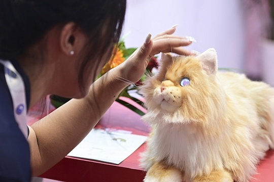 Жители Китая заводят питомцев со встроенным искусственным интеллектом