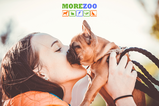 Школа ответственных родителей с зоомагазином «МореZOO»