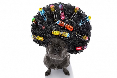 Креативный груминг