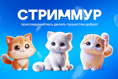 VK и благотворительный фонд «НИКА» запустили совместный проект «СтримМур»