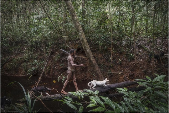 Топ-10 древнейших пород собак. Взгляд в историю  Топ-10 древнейших пород собак. Взгляд в историю