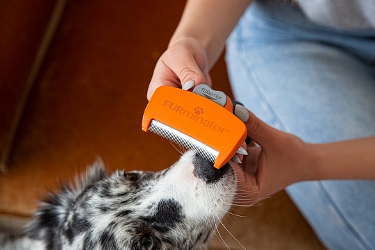 Фурминатор: как отличить подделку? Фурминатор: как отличить подделку?