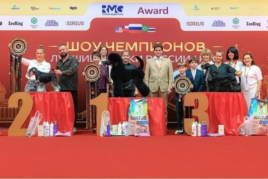 В Воронеже впервые пройдет выставка «Лучшие собаки России» 
