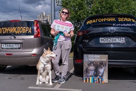 «Вагончик добра»: давайте поможем бездомным питомцам пережить грядущие холода