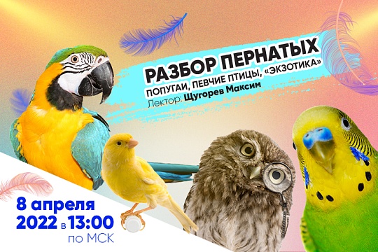 Приглашаем на вебинар "Разбор пернатых: попугаи, певчие птицы, экзотика"