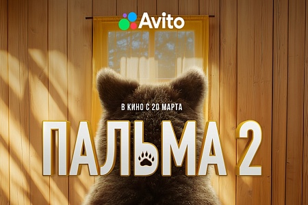 «Авито» запустили проект в поддержку бездомных питомцев