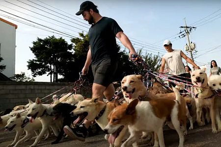 Мужчина из Канады побил мировой рекорд по выгулу собак