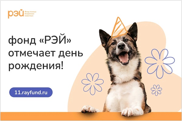 Бездомные кошки и собаки открыли центр помощи людям