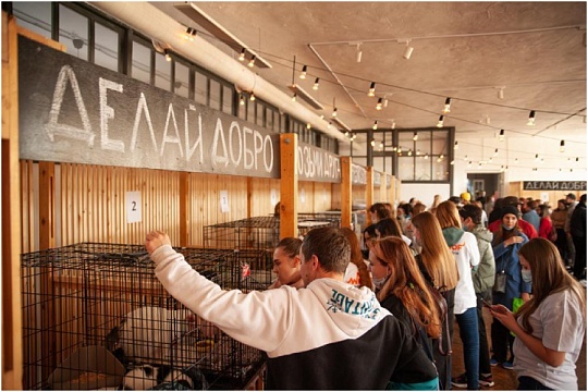 ЗООВЕТ выступит партнером благотворительного фестиваля WOOF ЗООВЕТ выступит партнером благотворительного фестиваля WOOF