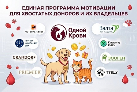 Зообизнес поддержал программу донорства питомцев